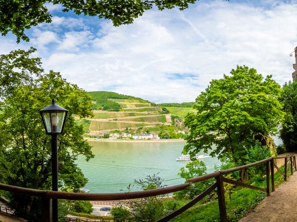 Wandertage auf dem Rheinsteig - 3 Tage Hotel Deutsches Haus in Bonn inkl. Frühstück Unkategorisiert online kaufen Wandertage auf dem Rheinsteig - 3 Tage Hotel Deutsches Haus in Bonn inkl. Frühstück Unkategorisiert online kaufen