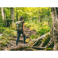 Wandertage im Naturpark Dümmer & Wiehengebirge-4 Tage Hotel & Restaurant Schwiizeralp in Stemwede inkl. Halbpension Unkategorisiert online kaufen