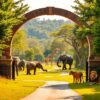 zoo safaripark stukenbrock